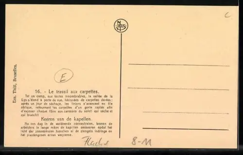 AK La culture du Lin, Le sechage des carpettes, Bauern an Garben, Flachs