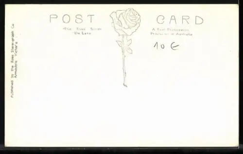 AK Melbourne, Elizabeth Street, Strassenbahn