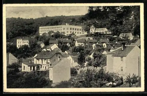 AK Brünn-Neu Leskau / Brno, Ortspartie