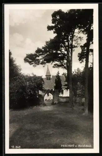 AK Práchen u Horazd`ovic, Ortspartie mit Tor