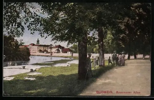 AK Budweis, Krummauer Allee