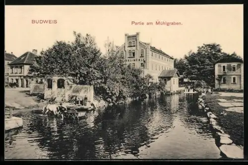 AK C. Budejovice, Partie na mlýnské `stoce