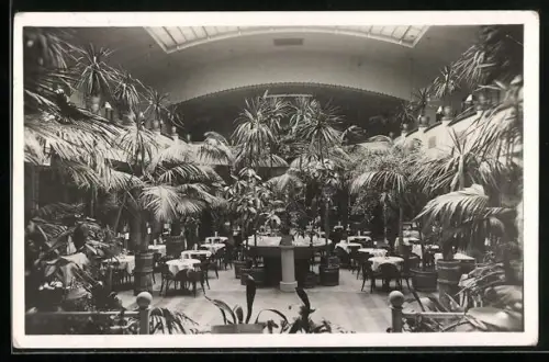 AK Königgrätz, Grand Hotel Urban, Palmengarten