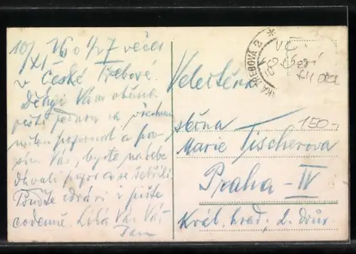 AK Ceská Trebová, Teilansicht, Villa, Ortspartie