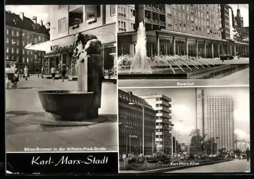 AK Karl-Marx-Stadt, Bären-Brunnen in der Wilhelm-Pieck-Strasse, Karl-Marx-Allee, Rosenhof