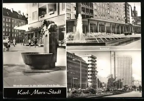 AK Karl-Marx-Stadt, Bären-Brunnen in der Wilhelm-Pieck-Strasse, Rosenhof, Karl-Marx-Allee