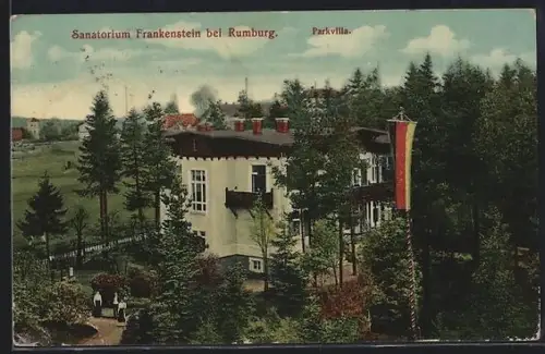 AK Rumburg, Sanatorium Frankenstein, Parkvilla mit Garten aus der Vogelschau, Deutsche Flagge