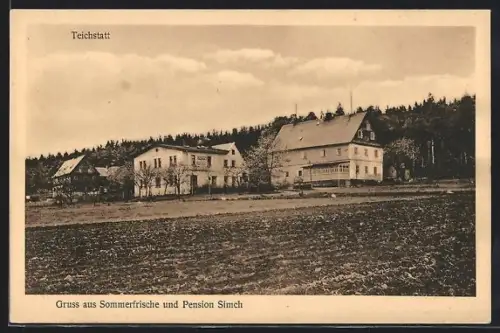 AK Teichstatt, Sommerfrische-Pension Simch, Panorama von einem Acker aus