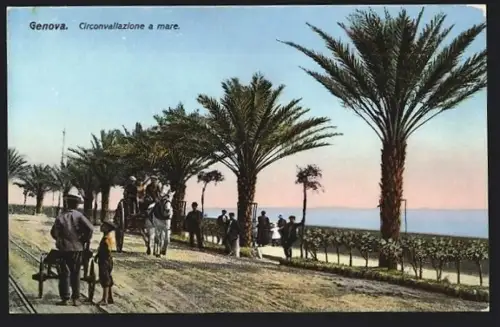 AK Genova, Circonvallazione a mare