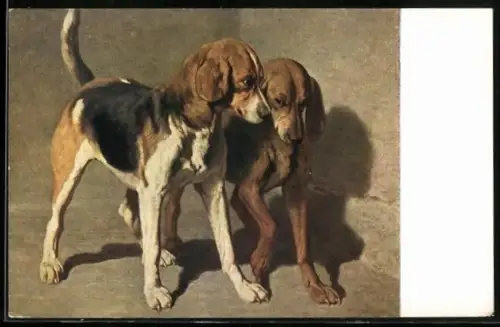 Künstler-AK Motiv mit stehenden Jagdhunden