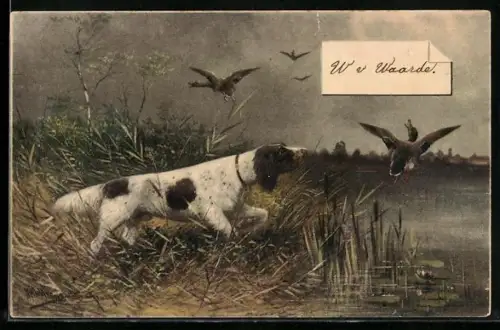 Künstler-AK M. Müller jun.: Jagdhund scheut das Wild auf