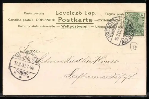 AK Reims, Cordonnerie du High-Life, 12, Rue de l`Etape, Pudel sitzt vor einer Kiste mit kleinen Katzen