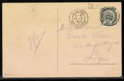 AK Pudel jagen eine Katze