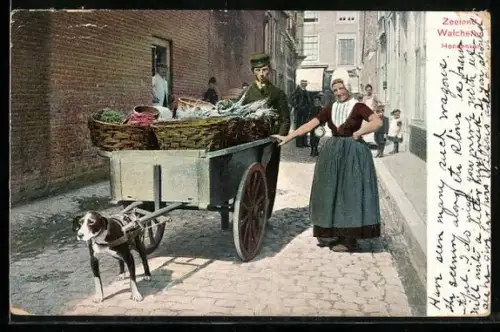 AK Zeeland / Walcheren, Hondenkar, Bauern mit Hundegespann