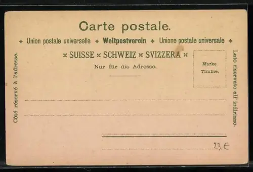 Lithographie Schweizer Briefmarken mit Efeu