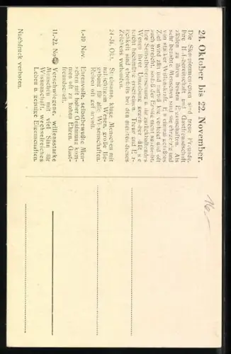 AK Sternzeichen Skorpion, 24. Oktober - 22. November, Charaktereigenschaften