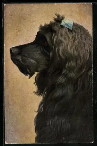 Künstler-AK Portrait eines langhaarigen schwarzen Hundes