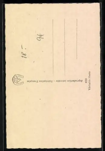 AK Hundewelpe mit langen Ohren