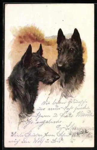 AK Zwei schwarze Hunde im Freien