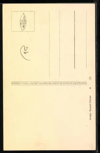 AK Schwarzer Terrier mit Halsband