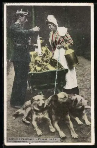 AK Hundegespann mit Küchenbedarf im Wagen, Laitiere Flamande, Pesage du Lait