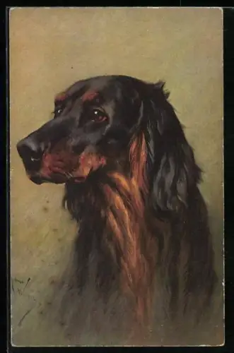 Künstler-AK Portrait eines Jagdhunds mit Schlappohren