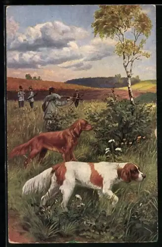 AK suchende Jagdhunde mit zielenden Jägern