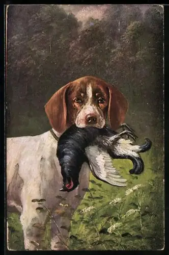 Künstler-AK August Müller - München: Jagdhund mit Auerhahn im Maul