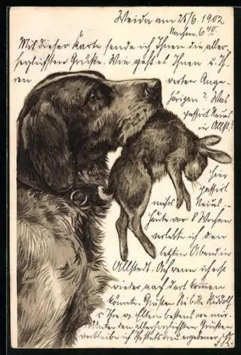 Lithographie Jagdhund apportiert das Kaninchen