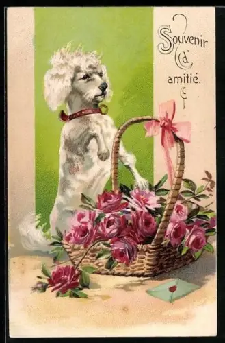 AK Kleiner Pudel mit Blumenkorb, Souvenir d`Amitié