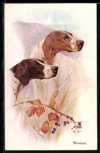AK zwei Jagdhunde-Pointers bei der Witterung