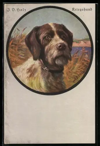 Künstler-AK sign. J.D: Holz: Schiessscheibe Kriegshund