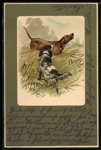 Künstler-AK Reikert: Zwei Jagdhunde auf einem Feld