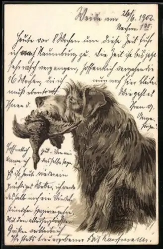 Lithographie Jagdhund apportiert eine Ente