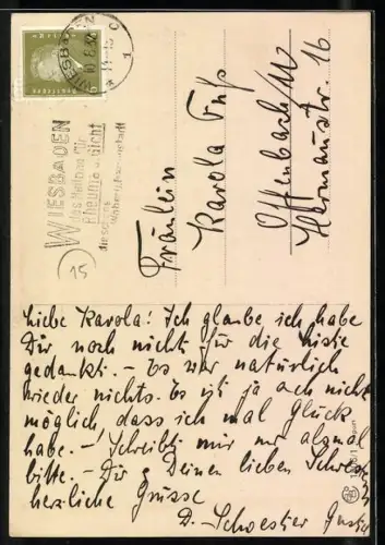 AK Portrait eines jungen Terriers