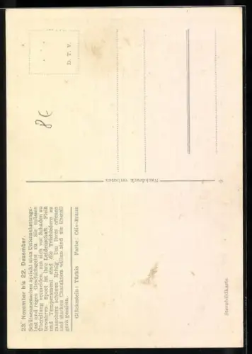 AK Sternzeichen Schütze: Das Sternbild des Schützen, bleibt Vorbild allzeit...