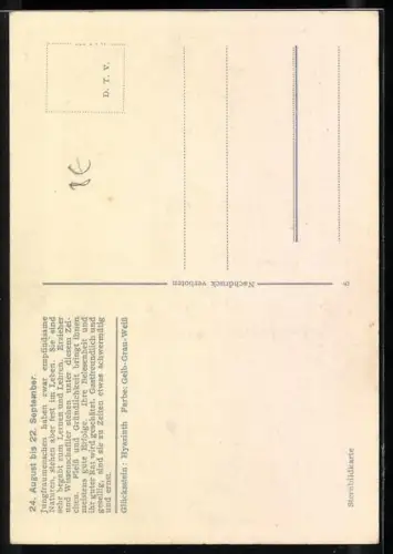 AK Sternzeichen Jungfrau, Horoskop, Frau mit weisser Lilie
