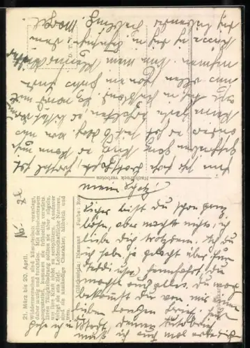 AK Sternzeichen Widder, Horoskop, Widder unter Sternenhimmel