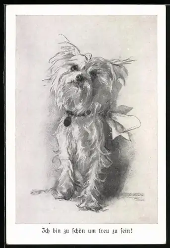 AK Kleiner Hund mit Schleife am Halsband, Ich bin zu schön um treu zu sein