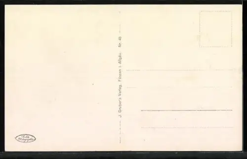 AK Burg Neuschwanstein mit Bergen