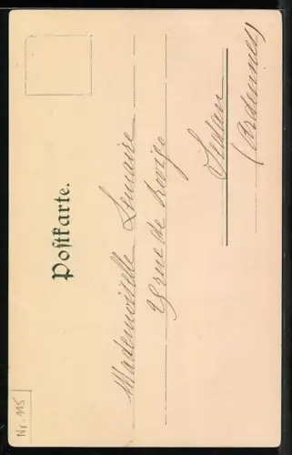 AK Burg Rheinstein am Rhein