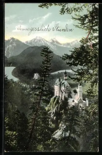 AK Schloss Neuschwanstein, Ansicht mit Umgebung aus der Vogelschau