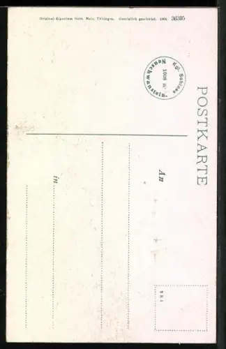 AK Schloss Neuschwanstein, Ansicht mit Umgebung aus der Vogelschau