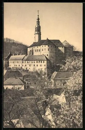 AK Weesenstein, Schloss