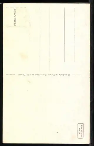 AK Schloss Neuschwanstein, Ansicht mit Marienbrücke