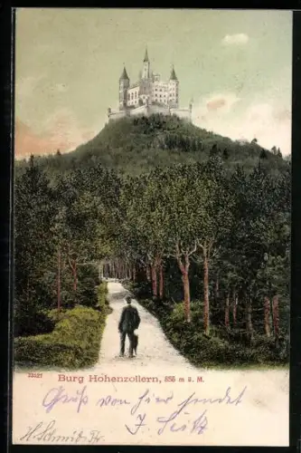 AK Burg Hohenzollern mit Waldweg