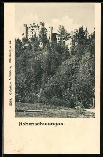 AK Schloss Hohenschwangau, von unten gesehen