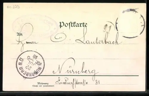 Lithographie Heidelberg, Blick auf das Schloss