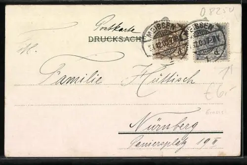 Lithographie Meissen, Die Albrechtsburg im Winter