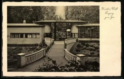 AK Münster /Westf., Eingang zum Zoo